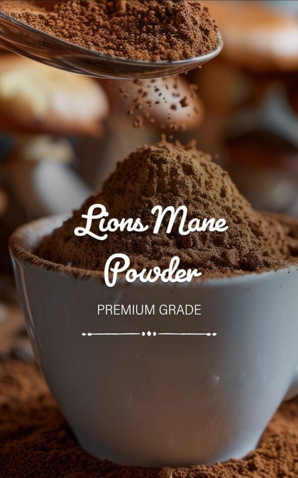 Lion Mane Powder